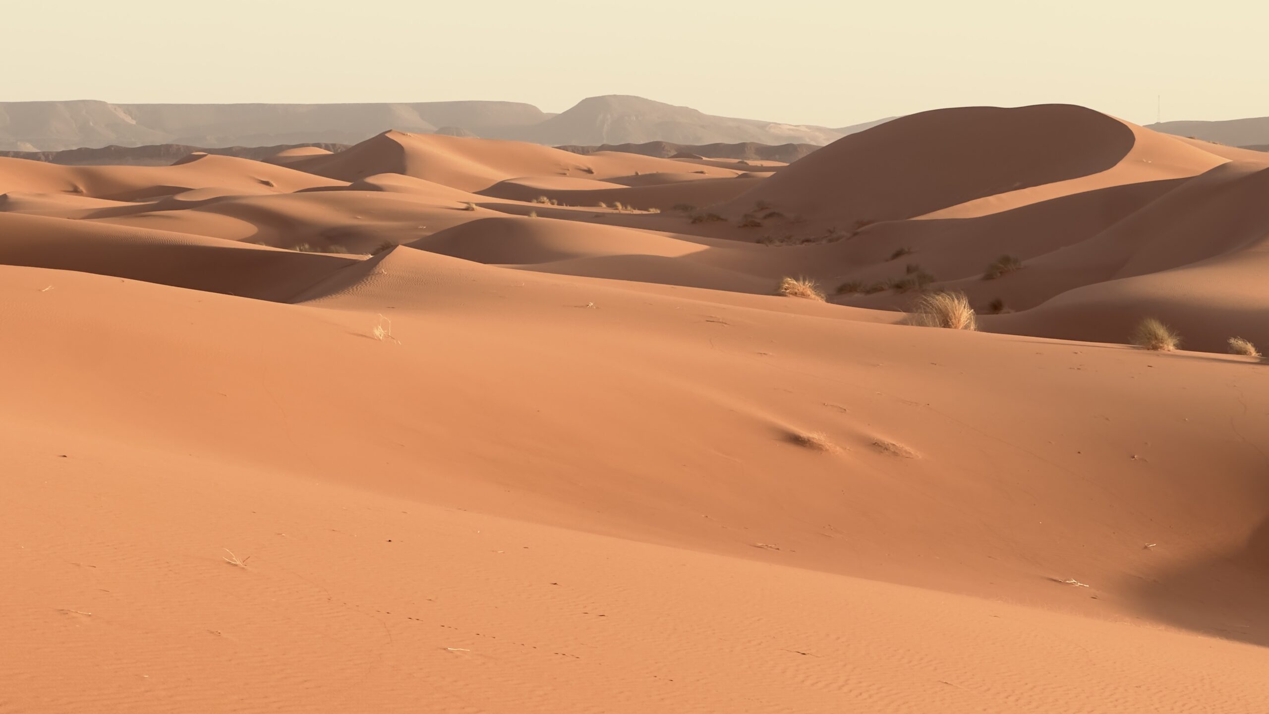 Trek désert Maroc
