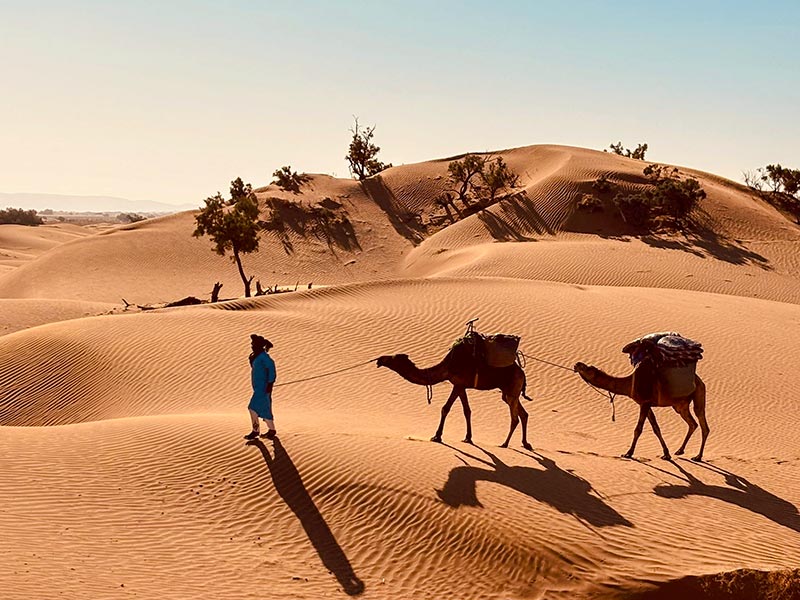 Trek dunes du Chacal et Bertham au départ de M'Hamid